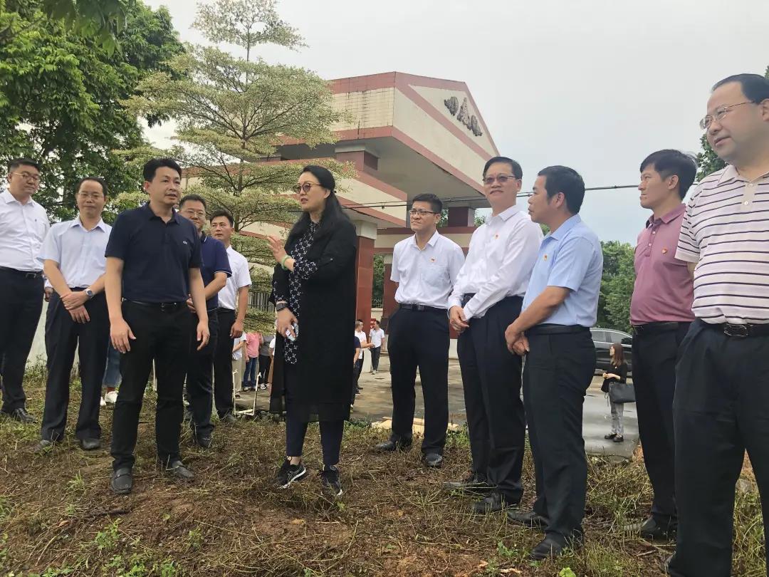 學黨史 辦實事 | 樹幫扶標桿 助鄉村蝶變：廣新集團黨委書記、董事長白濤調研指導鄉村振興駐鎮幫鎮扶村工作