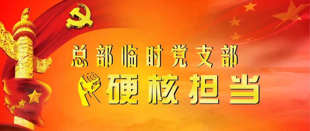 【總部臨時黨支部硬核擔當 助力巡視整改“三個落實”之三】黨建促執行 助力“效果落實”