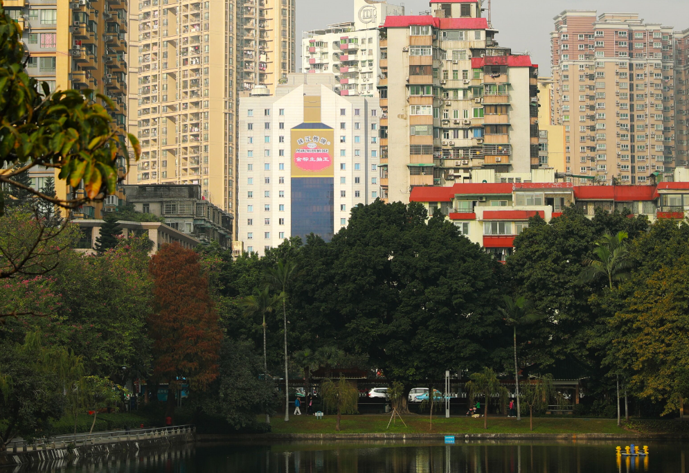 【2019年度廣新榮譽體系先進集體系列報道三：省食品】黨建引領促發展 化危為機見成效