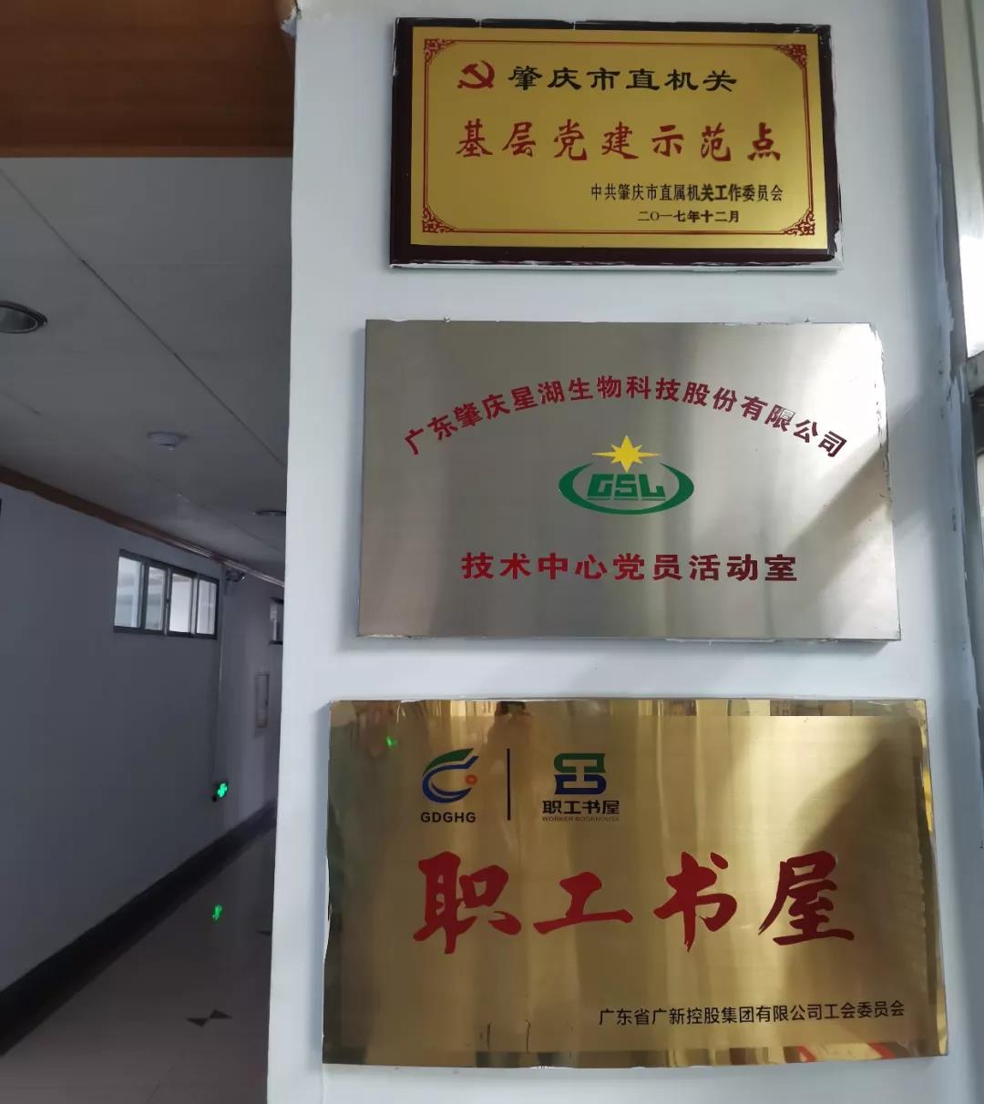 【“五強五化”系列報道之七】星湖科技：夯實基層基礎 打造黨建高地