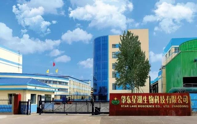【回首“十三五” 啟航“十四五”系列報道之五】星湖科技：壯志滿懷 策馬揚鞭 奮力實現“十四五”發展新跨越