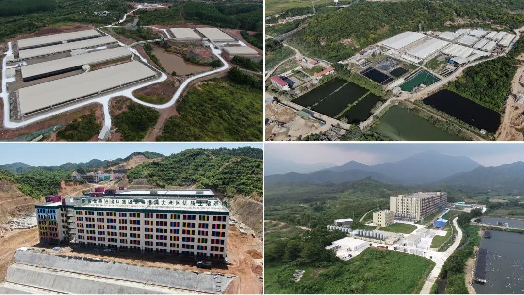 廣新集團深入貫徹全省高質量發展大會精神（六）